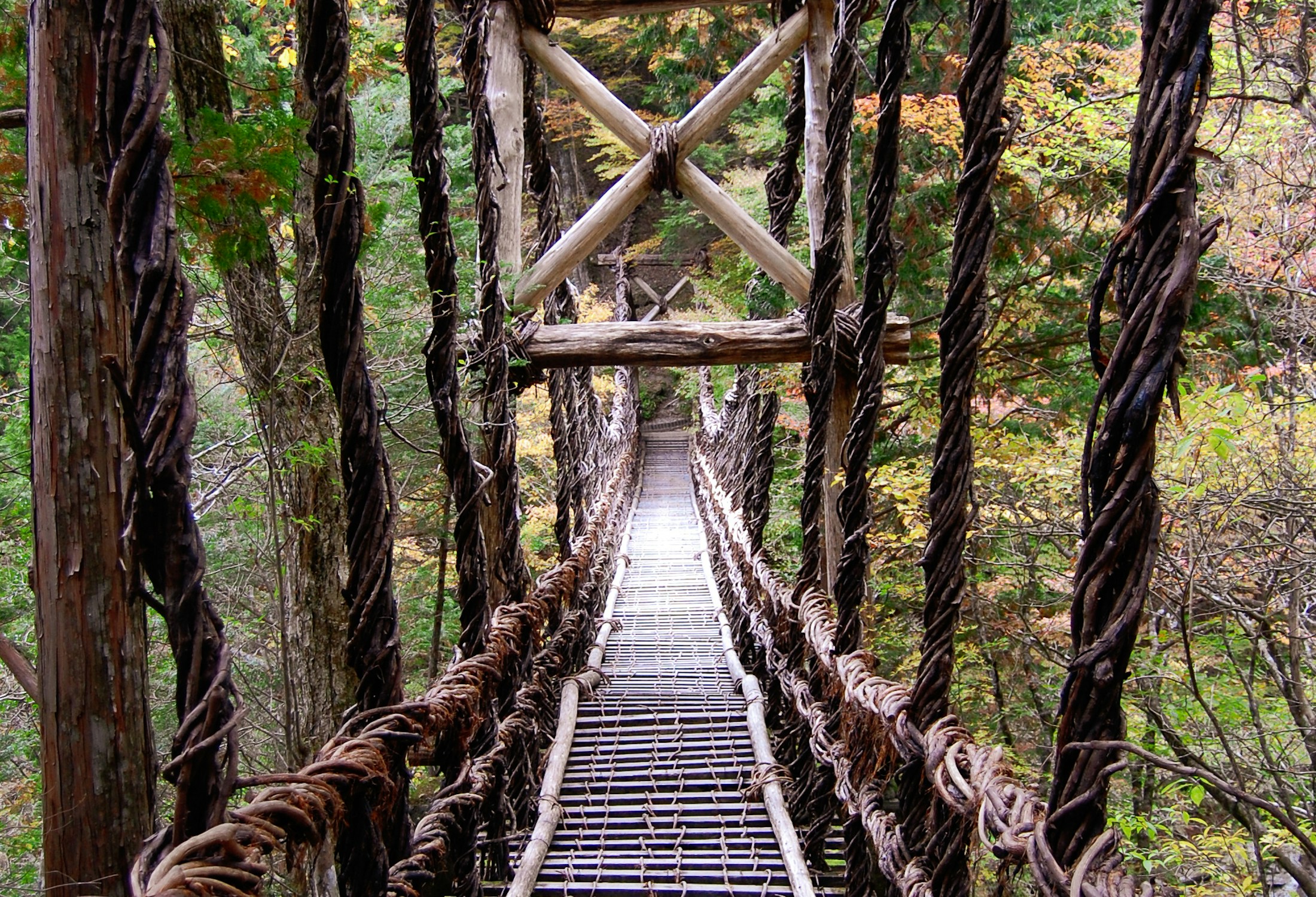 Pont de lianes dans la vallée d’Iya à Shikoku